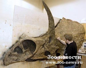 Останки сладки Останки сладки