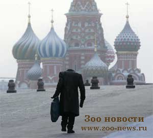 Новый год обнесли снегом Новый год обнесли снегом