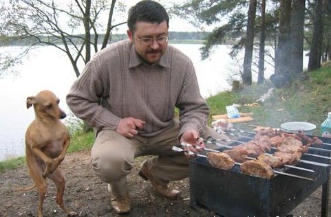 Минутка юмора Минутка юмора
