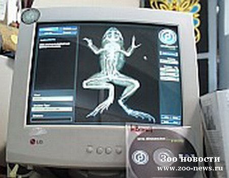 Найдена достойная альтернатива опытам над животными Найдена достойная альтернатива опытам над животными