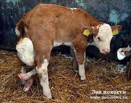 Картинки об изменении природы человеком Картинки об изменении природы человеком