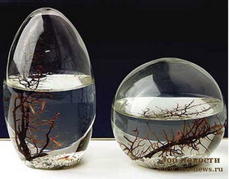 1208366446_shar_450.jpg