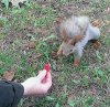 Заботы много не бывает Заботы много не бывает