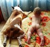 Дети лучше понимают собак Дети лучше понимают собак