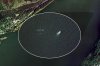 Сервис «Google Earth» показал Лохнесское чудовище Сервис «Google Earth» показал Лохнесское чудовище